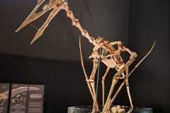 130903_Eichstartt-52