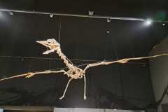 130903_Eichstartt-54