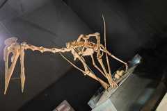 130903_Eichstartt-55