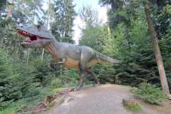 130903_Eichstartt-68