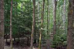 130903_Eichstartt-73