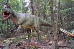 130903_Eichstartt-75