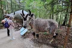 130903_Eichstartt-77