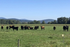 230916_GNU_Teil_B-110