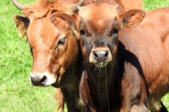 230916_GNU_Teil_B-121