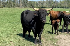 230916_GNU_Teil_B-122