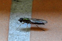 230916_GNU_Teil_B-25
