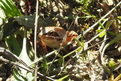 230916_GNU_Teil_B-88