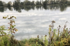 IMG_0497