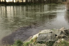 IMG_2004