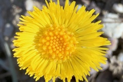 240224_Naturstreife-1