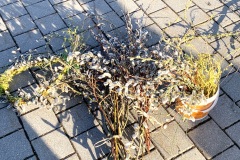 240224_Naturstreife-42