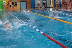 Bild-20240310-085017-f1c9dc0e