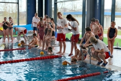 Bild-20240310-085642-13a22428