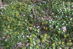 240330_Grieshaus-15