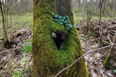 240330_Grieshaus-21