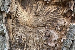 240330_Grieshaus-23
