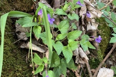 240330_Grieshaus-30