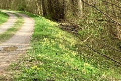 240330_Grieshaus-34
