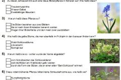 Fragebogen_Grieshaus_Seite1