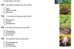 Fragebogen_Grieshaus_Seite2
