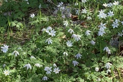 2404013_Berching-34