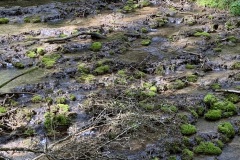2404013_Berching-55