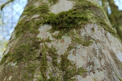 2404013_Berching-65