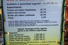 241228_St_Englmar-61