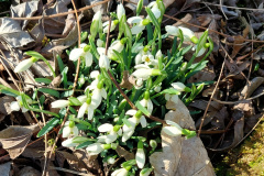 Februar-21