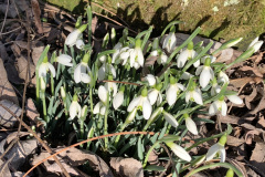 Februar-22