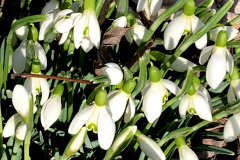 Februar-23