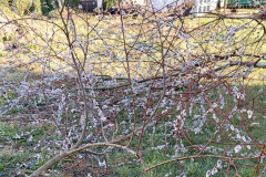 Februar-44