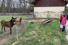 250329_Grieshaus-4