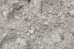 250329_Grieshaus-40