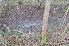 250329_Grieshaus-45