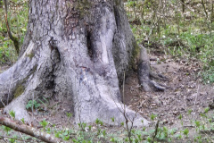 250329_Grieshaus-47