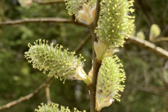 250405-66