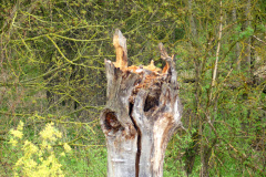 250418_Karfreitag-38