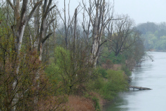 250418_Karfreitag-40