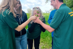 250426_Graureiher-30