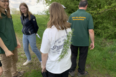 250426_Graureiher-32