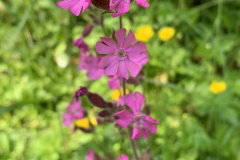 250531-11