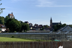 250531-2