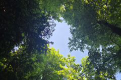 250531-64