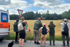 250628_Störche