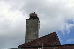 250627_Stoerche-12