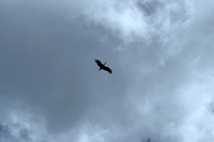 250627_Stoerche-27