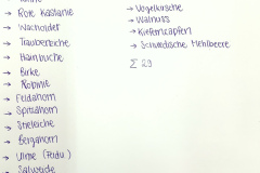 250920_GNU_Teil_B-44