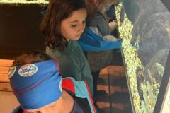 IMG-20251018-WA0014